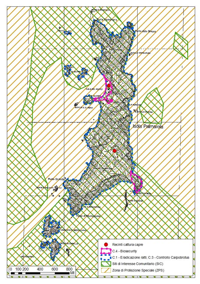 Actions on Palmarola