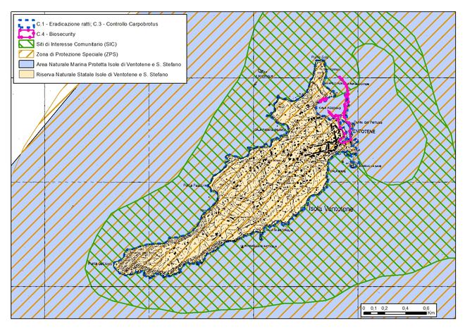 Actions on Ventotene