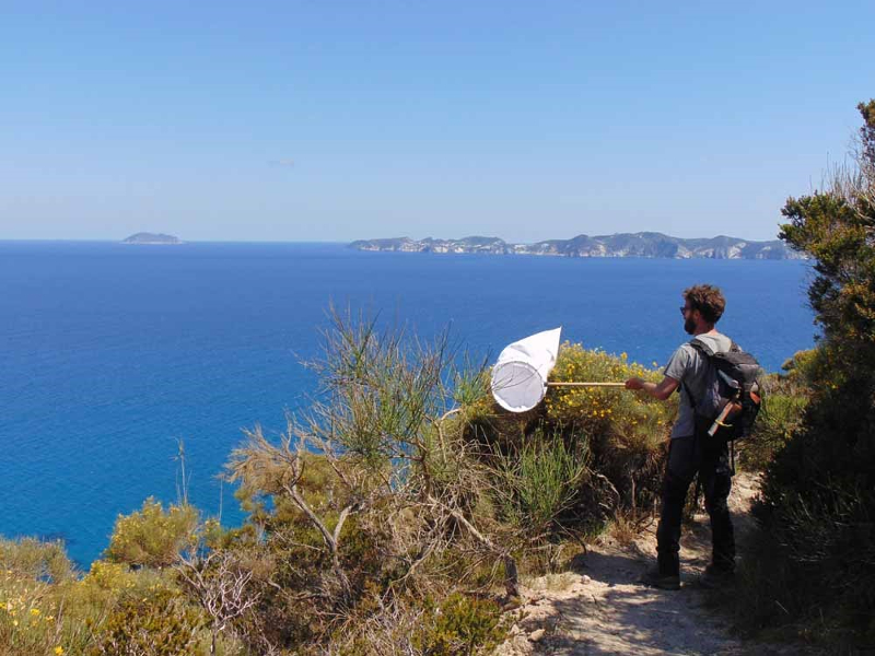 Monitoraggio degli invertebrati