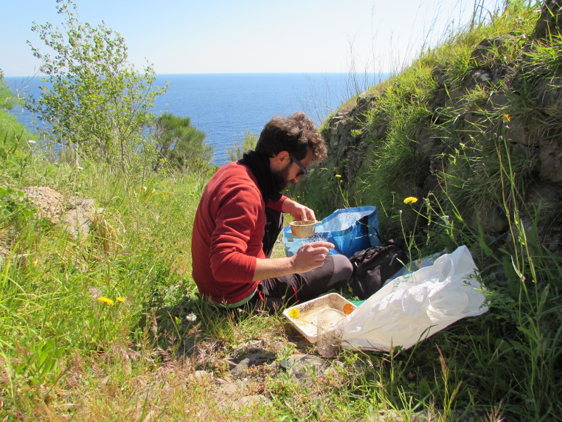 Monitoraggio degli invertebrati