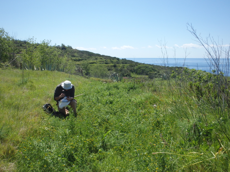 Monitoring of invertebrates