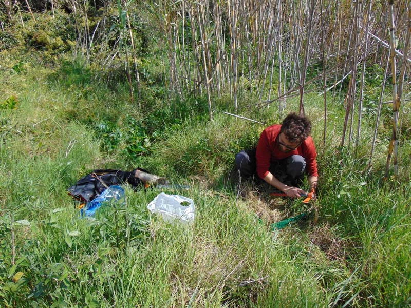 Monitoring of invertebrates