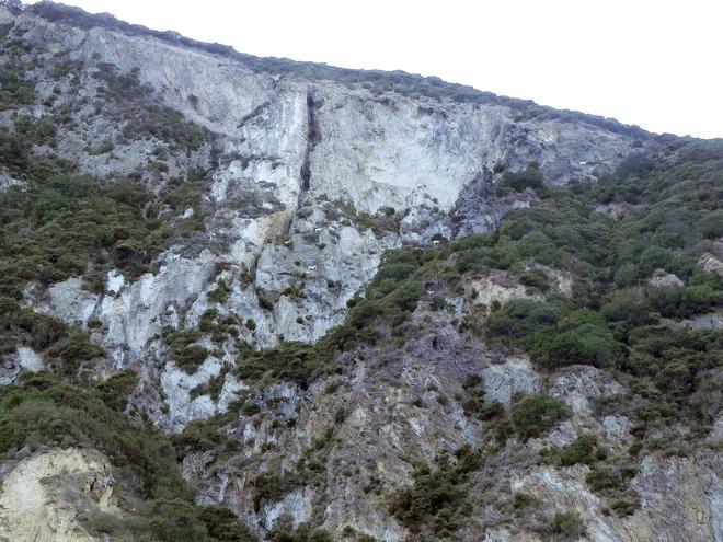 Avviso pubblico per manifestazione di interesse - servizio di trasporto delle capre inselvatichite catturate presso l'isola di Palmarola