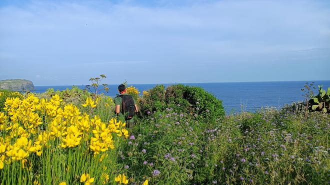 Biosicurezza a Ventotene