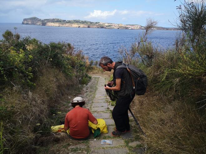 Post-eradication monitoring of invertebrates