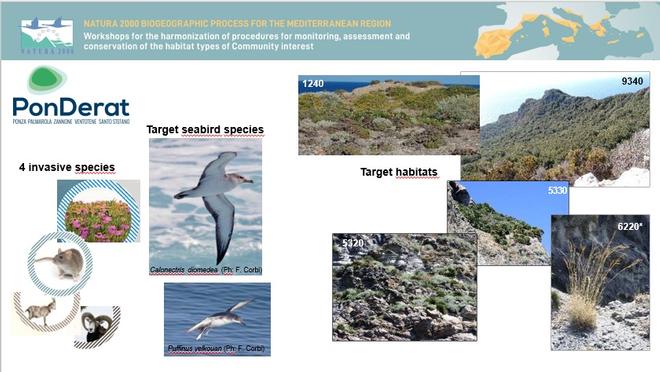 Il PonDerat esempio di buone pratiche al Seminario Biogeografico Mediterraneo