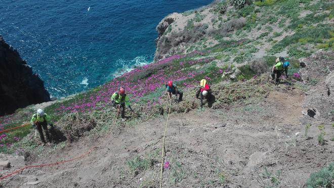 Eradicating Carpobrotus from the cliffs: not a job for everyone