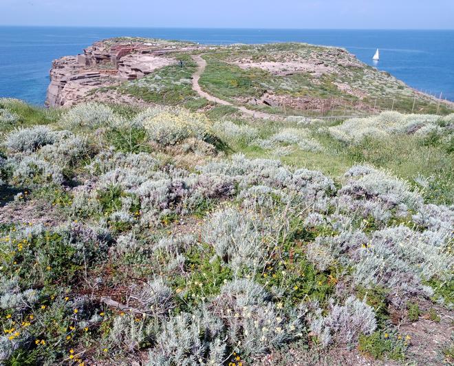 Tracce di PonDerat per il futuro - Ventotene