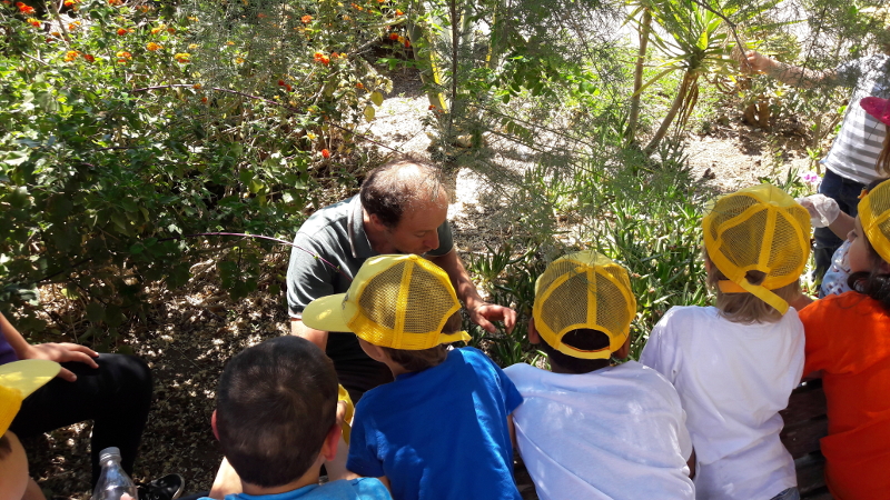 Eradication of alien invasive plants with the students of Ventotene