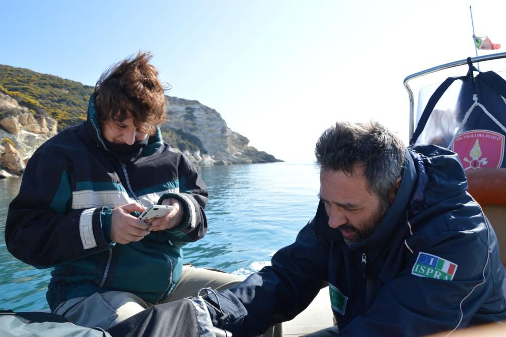 Monitoring of pelagic birds