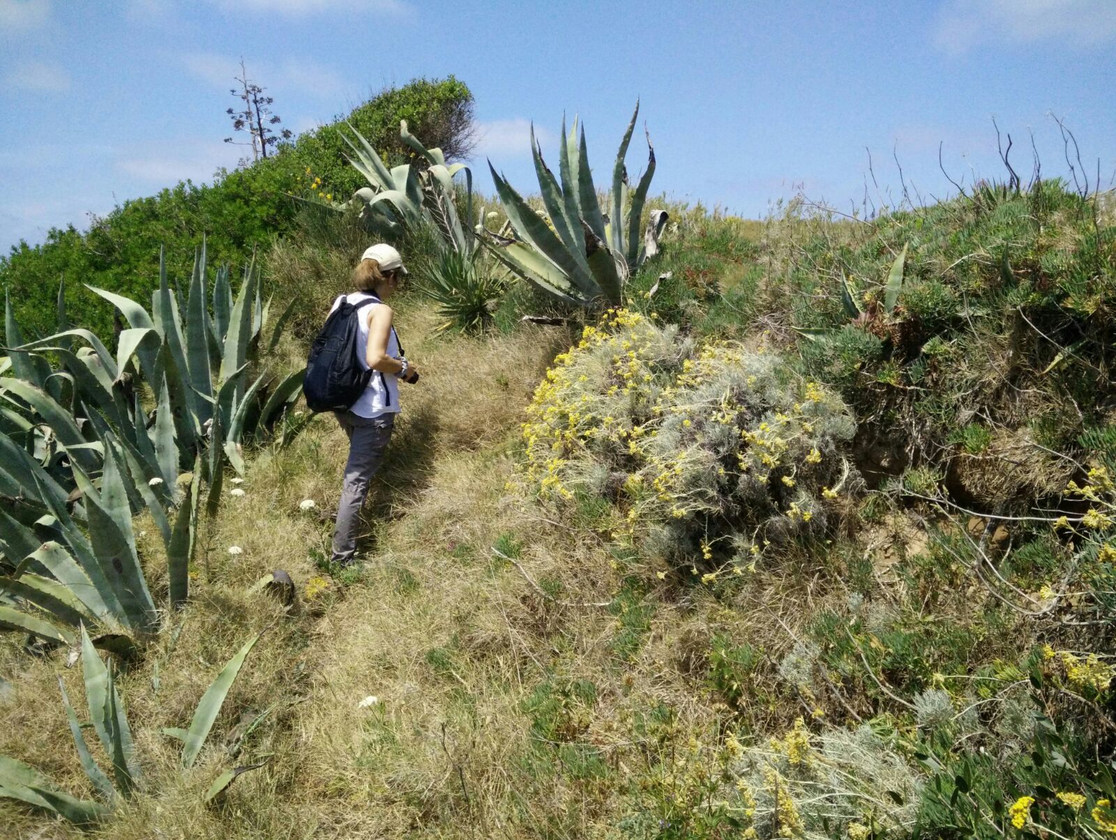 Rilievi sulla vegetazione