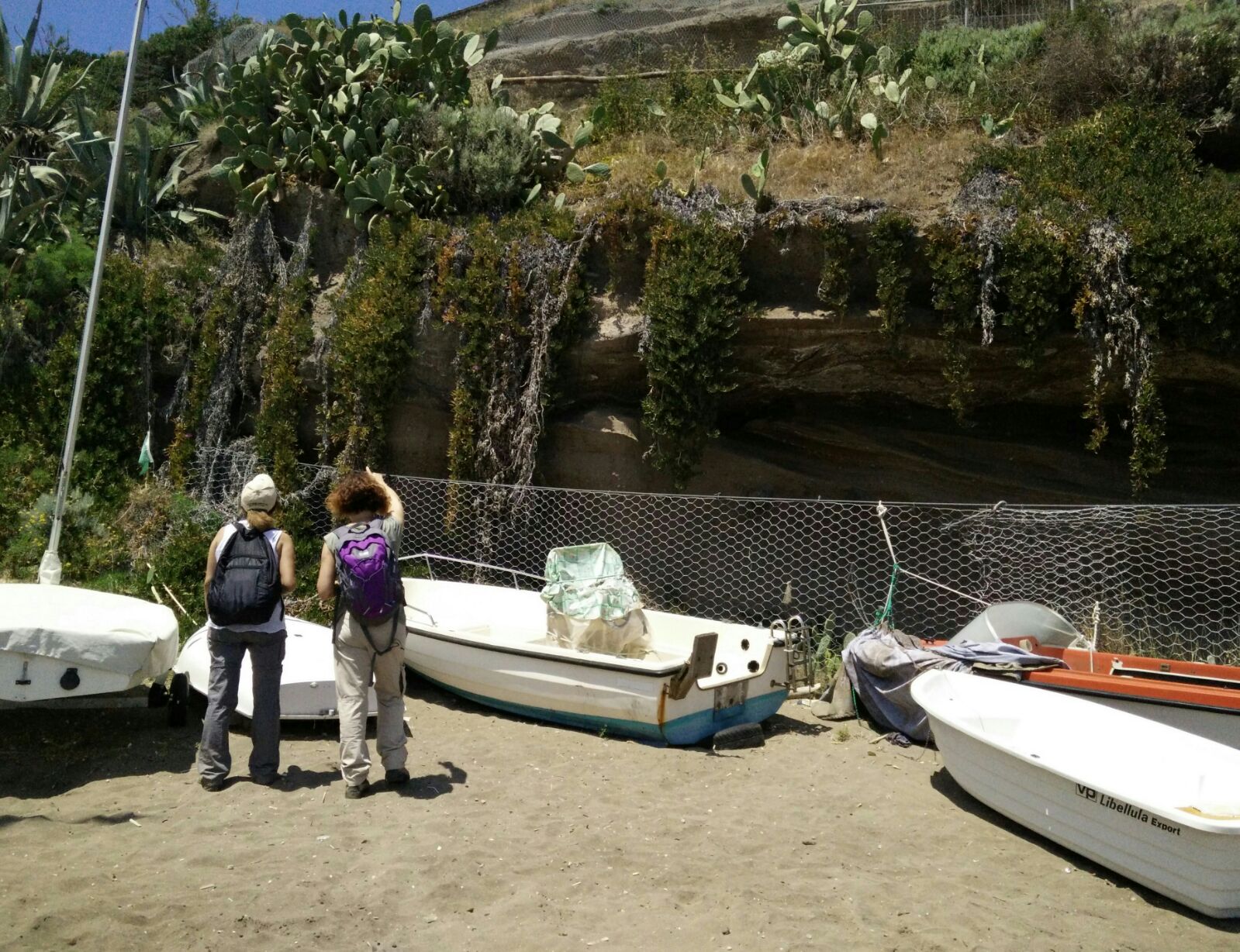 Rilievi sulla vegetazione