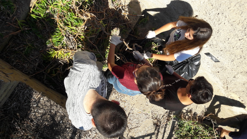 Eradication of invasive alien plants with the students of Ventotene