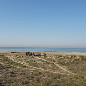 Eradication of Carpobrotus in Passoscuro - Picture n. 2