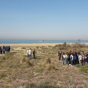 Eradication of Carpobrotus in Passoscuro - Picture n. 10