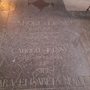 Tomba di Carlo Linneo