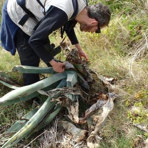 Prime attivit di monitoraggio degli invertebrati - Foto n. 3