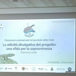 The PonDerat at the Life Eolizard event - Picture n. 2