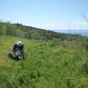 First monitoring activities on invertebrates - Picture n. 11