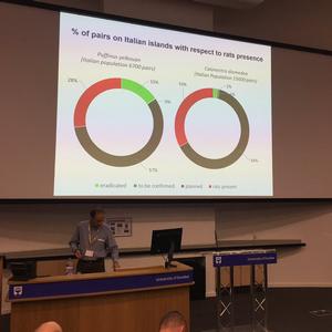 PonDerat at the Island Invasives Conference 2017 - Picture n. 13