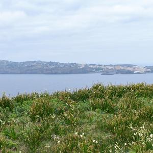 Veduta di Ventotene da Santo Stefano (foto di Raffaella Frondoni)