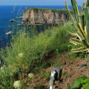 Biosicurezza a Ventotene - Foto n. 3