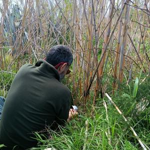 La biosicurezza  un impegno a lungo termine - Foto n. 2