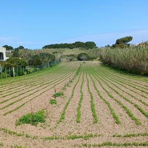 La biosicurezza  un impegno a lungo termine - Foto n. 3