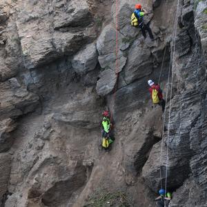 Eradicating Carpobrotus from the cliffs: not a job for everyone - Picture n. 6