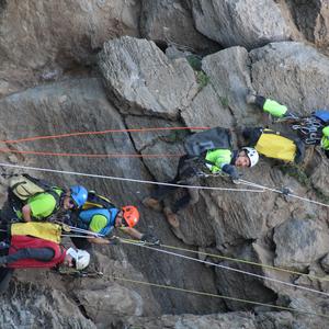 Eradicating Carpobrotus from the cliffs: not a job for everyone - Picture n. 7