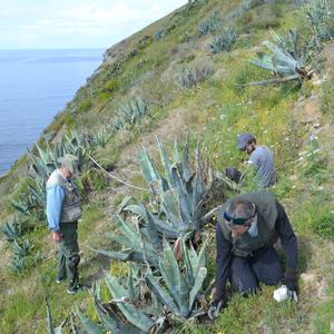 A Ventotene