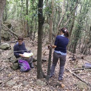 Our botanists in the shadow of zannone holm oaks - Picture n. 2