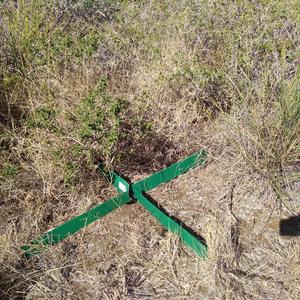 Pitfall trap for monitoring arthropods