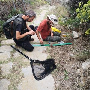 Monitoraggio invertebrati a Santo Stefano