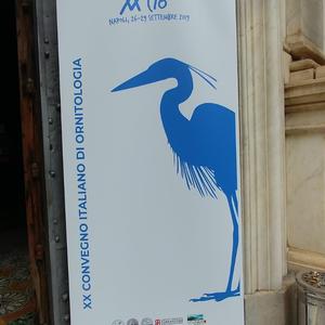 20th Italian Ornithology Conference (Photo courtesy by Carmen Biondo)