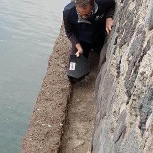 Biosecurity in the Roman Port