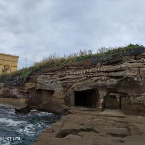 Monitoraggio aree liberate dal Carpobrotus a Ventotene