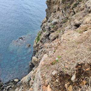 Falesia di Santo Stefano liberata dal Carpobrotus