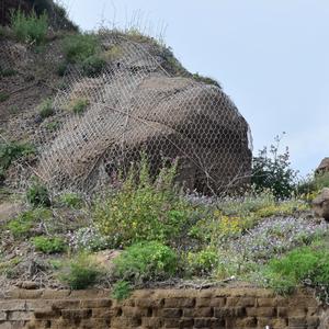 ...e continua ad evolvere la vegetazione (2023)
