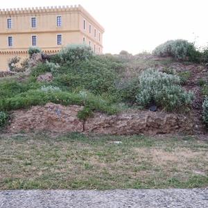 Municipal gardens after the eradication of Carpobrotus (2023)