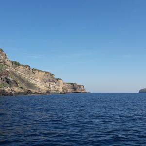 Mappatura Carpobrotus via mare