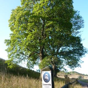 Gamla Uppsala