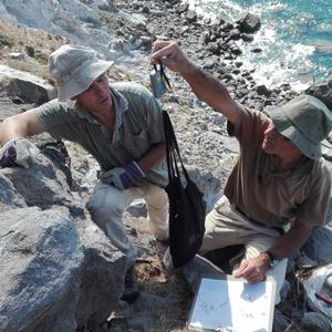 Weighing a Scopoli's shearwater chick