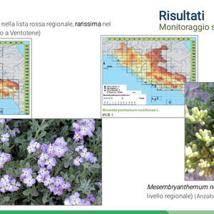 PonDerat at the 115th conference of the Italian Botanical Society - Picture n. 5