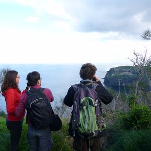 Sopralluogo a Ponta dell'Arco