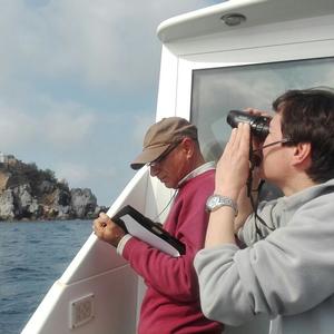 A visit to Zannone ten years after rat eradication - Picture n. 2