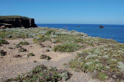 3170* Mediterranean temporary ponds